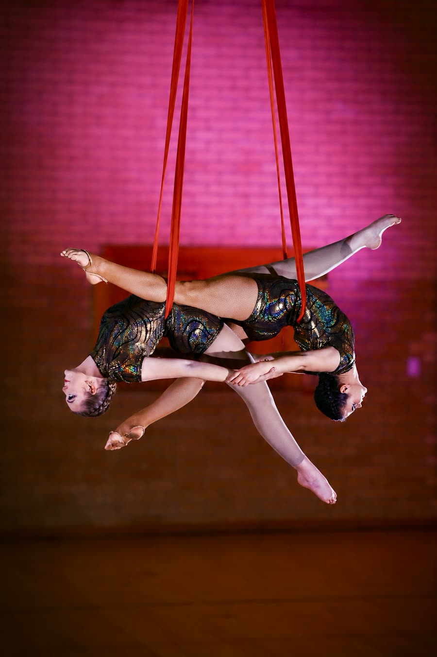 Aerial hoop (lyra) artist performing at a Gauteng corporate function